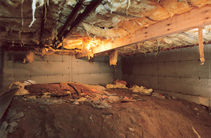 Before view of dirt Crawl Space in Minneapolis