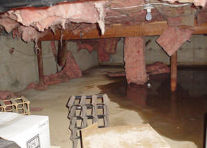 fiberglass insulation dripping off the ceiling of a crawl space in Andover.