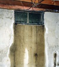 Flooding through basement windows in a Champlin home.