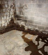 Water seeping through a concrete wall in a Circle Pines basement