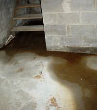 Flooding floor cracks by a hatchway door in Savage