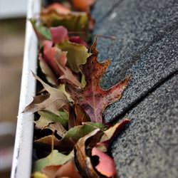Clogged gutters filled with fall leaves  in Minnetonka