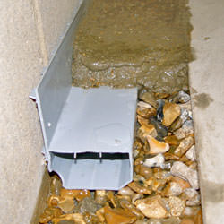WaterGuard Drain Lines