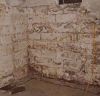 Peeling, Chipping, Basement Wall Coatings in Chaska