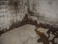 flooded basement with leaky basement walls in Champlin, MN