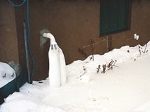 IceGuard® Installed Saint Cloud