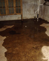 Wet basement repair in Saint Paul & nearby